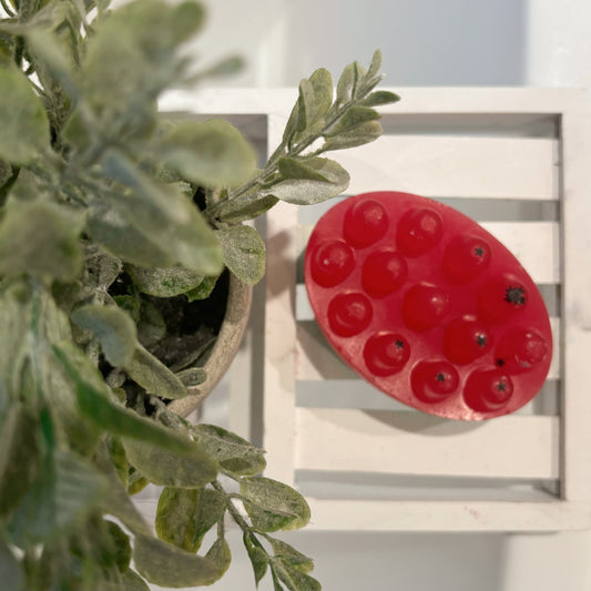 Watermelon Massage Bar