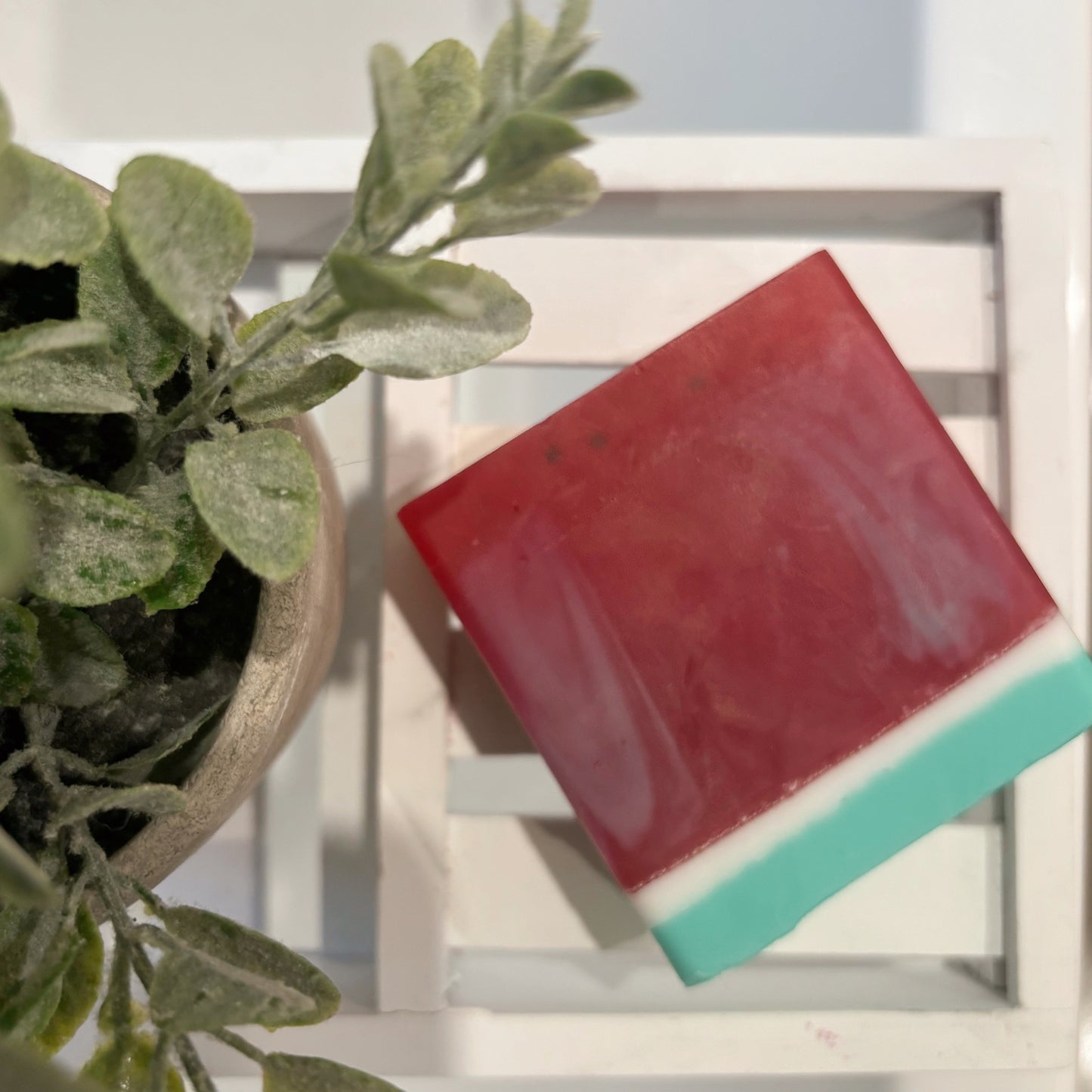 Watermelon Soap